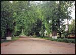 Zakoziel.  Park dworski (pozostałości)