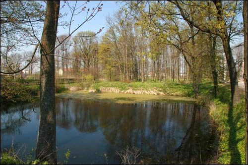 Zakoziel. Manor park (fragments)