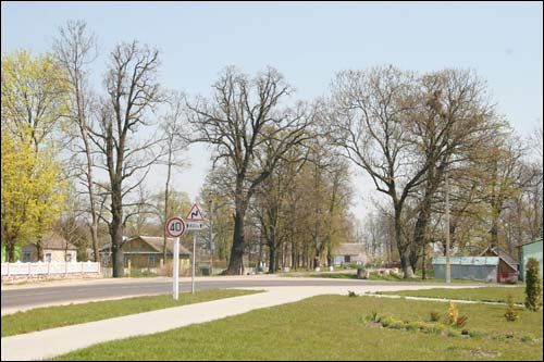 Zakoziel. Park dworski (pozostałości)