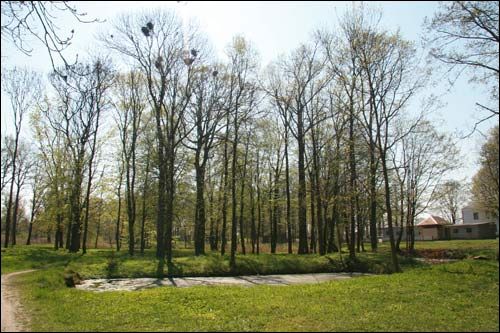 Zakoziel. Manor park (fragments)