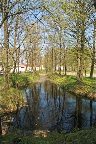 Zakoziel. Manor park (fragments)