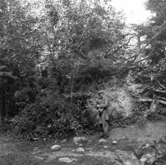  -  Forest at old photographs. 