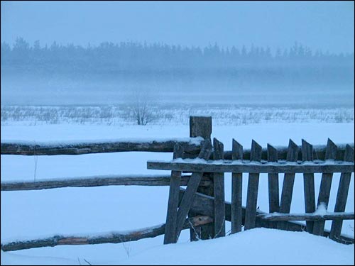 Раніца. Мароз. Туман над балотам Харомцы. Краявіды