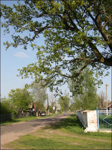 Гадзічава. Краявіды 