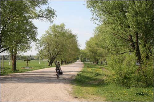 Гадзічава. Краявіды 