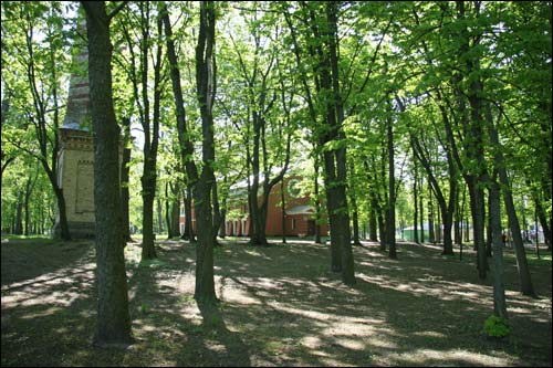  - Zespół pałacowo-parkowy Rumiancewów-Paskiewiczów. Wieża widokowa i oranżeria