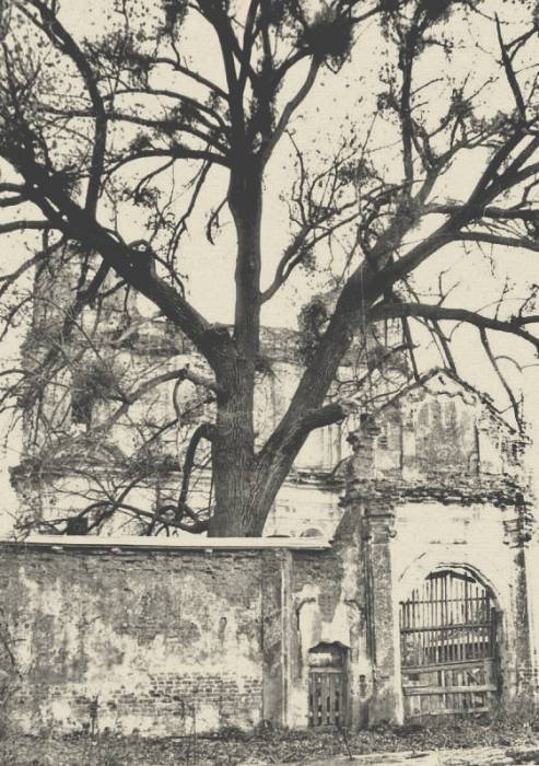  - Klasztor Jezuitów. 