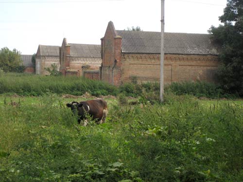 Household yard, a fragment Barysaŭščyna. Manor of Jastrzębski