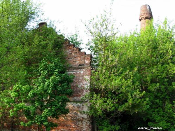 Rudaków. Dwór gospodarczy 