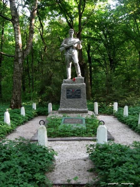 Rudaków. Park dworski 