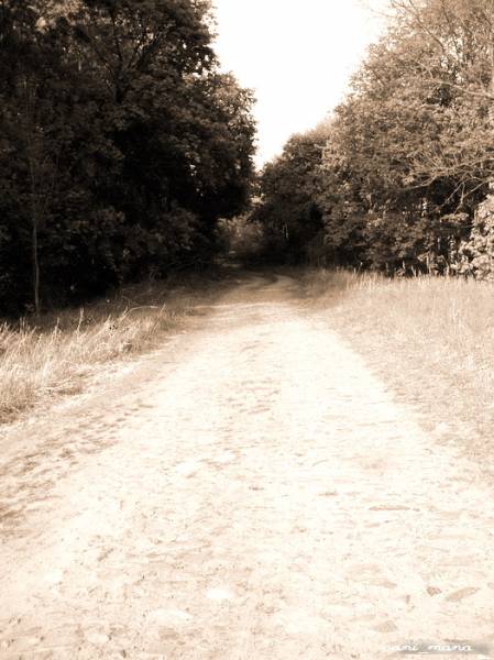  - Хозяйственный двор . брущатка на территории усадебного комплекса