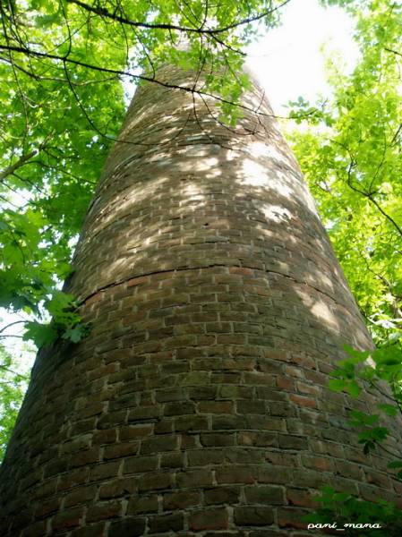  - Хозяйственный двор . труба