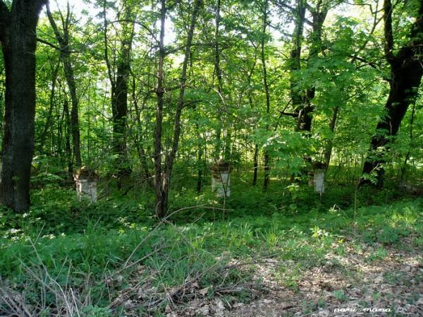  - Хозяйственный двор . ограда между хоз двором и территорией усадебного дома