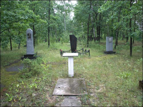 Lenin. Cmentarz żydowski