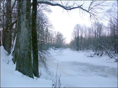  - Estate of Kozieł-Pakleŭski. 