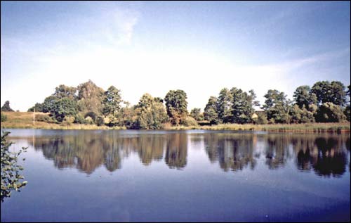 Marozavičy. Landscapes 