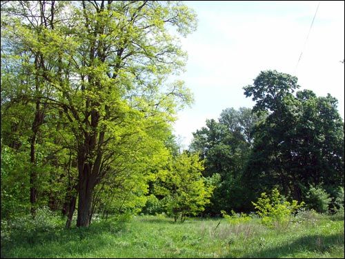 Weresków. Zespół dworsko-parkowy Brochockich