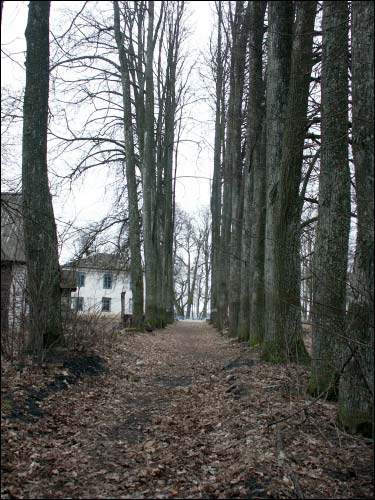  - Manor of Bohuš-Šyška. Alley in the park