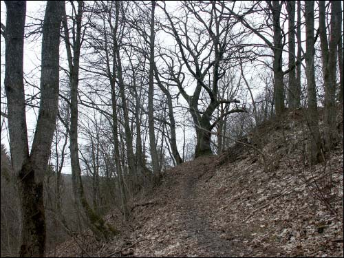  - Manor of Bohuš-Šyška. In the park