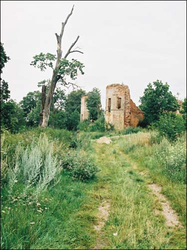 Halšany.  Castle of Sapieha, ruins