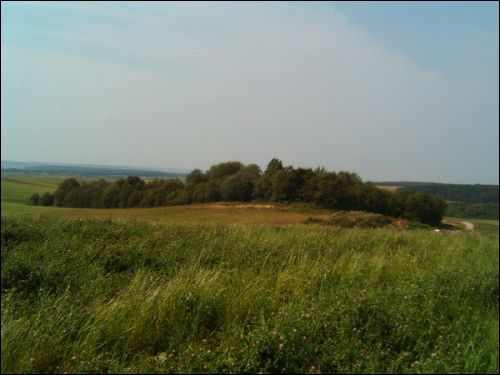 Holszany. Cmentarz żydowski