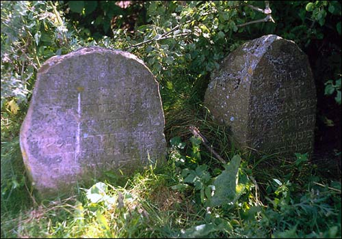 Липнишки. Кладбище еврейское