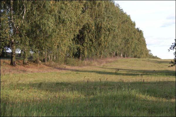  - В деревне . Дорога на Трабы (фото 09/2009)