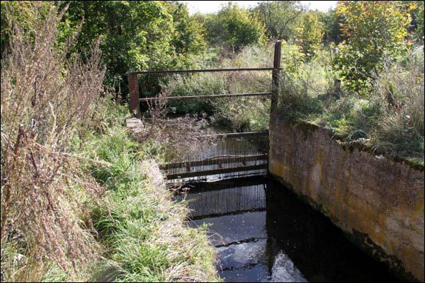  - В деревне . Речка Баранка (фото 09/2009)