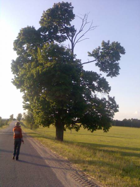  - В деревне . 