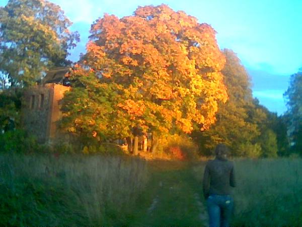  - В деревне . 