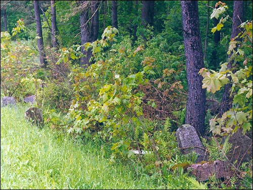 Traby |  cemetery Jewish. Jewish cemetery situated on the way from Traby to Halszany