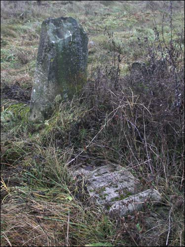 - Cmentarz żydowski. 