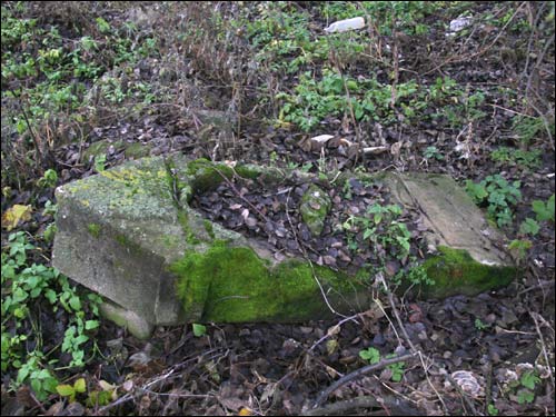  - Cmentarz żydowski. 