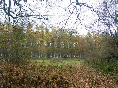 Pieršamajski (Obryń). Manor of Kašyc