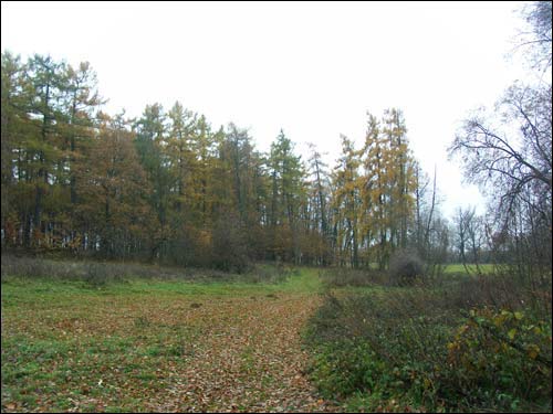 Pieršamajski (Obryń). Manor of Kašyc