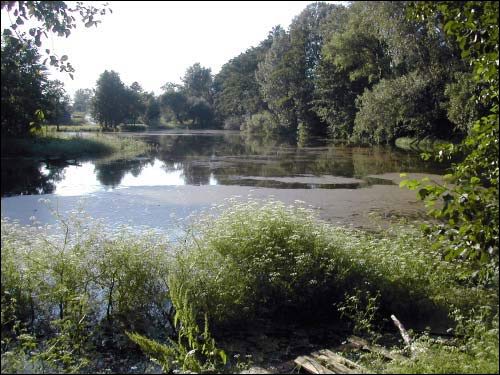 Pieršamajski (Obryń) |  Manor of Kašyc. 