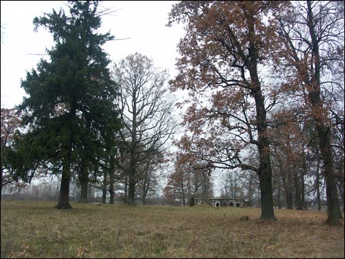 Pieršamajski (Obryń). Manor of Kašyc