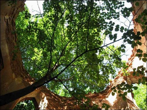 Serwecz. Kaplica grobowa Niesiołowskich