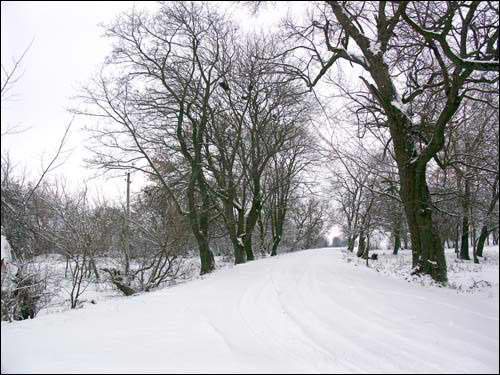  - Dwór Grabowskich. 