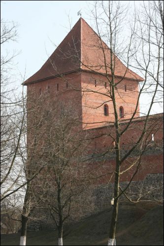 Lida.  Castle