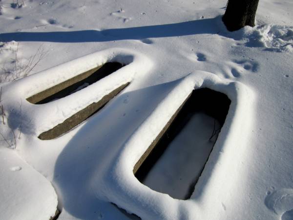  - Cmentarz stary katolicki. 