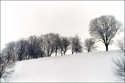 - Landscapes . 