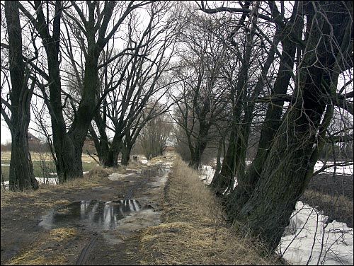  - Folwark Murowanka. 