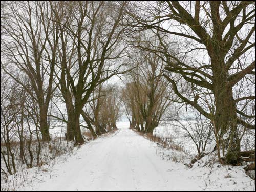 Шчорсы. Фальварак Мураванка