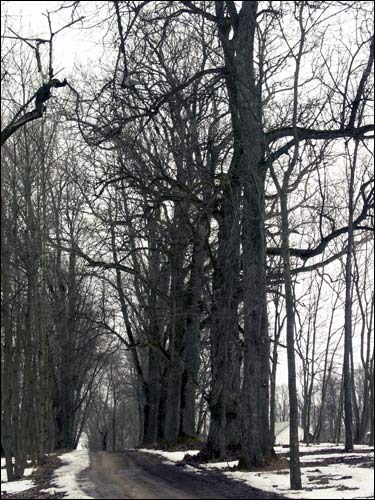 Usielub. Manor of O'Rourke