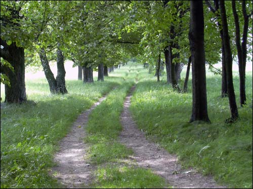 Kušlany. Landscapes 