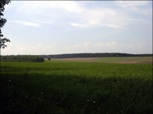 Kušlany. Landscapes 