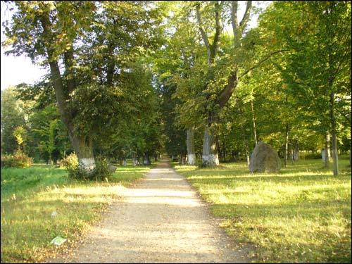  - Manor park of the Tyškievič former Manor-place. 