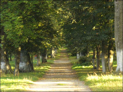 Świsłocz. Park dworski Tyszkiewiczów