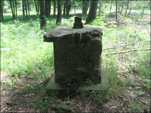 Wierdomicze. Park dworski Tołłoczków